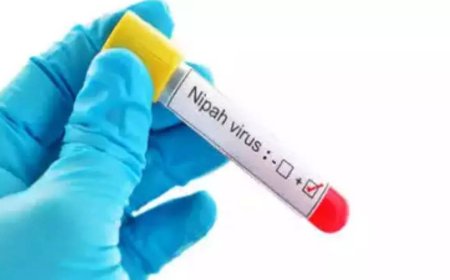 Nipah virus: Mask mandate in Kerala district after death of 24-year-old