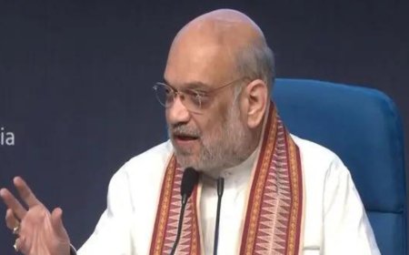 Government has implemented several farmer-friendly policies in first 100 days: Union minister Amit Shah