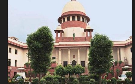 Kolkata rape-murder case: What SC said on Sibal's request to stop live streaming of hearing