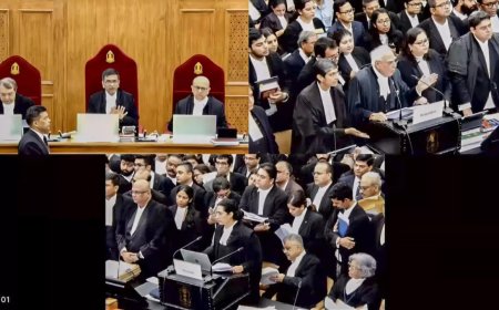 ‘Will remove you from court’: SC warns lawyer, dismisses plea for Mamata Banerjee's removal over Kolkata doc's rape-murder