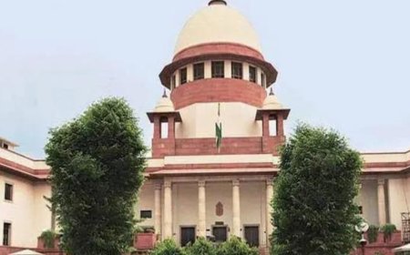 SC gives bail to main accused in Kerala actor's sex assault case