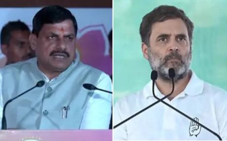 Haryana poll outcome a verdict on Rahul Gandhi's failed leadership: MP CM