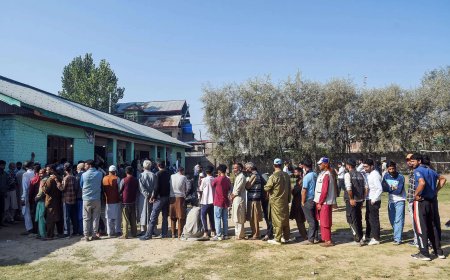 Jammu and Kashmir assembly election: Jamaat-backed candidates routed