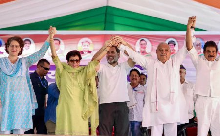 Hoodannit? Haryana results mystery leaves Congress clueless