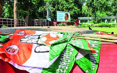 Congress' loss may give allies edge in Maharashtra, Jharkhand talks