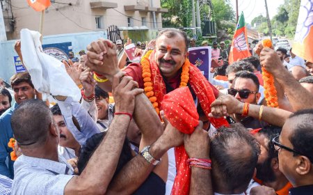 Quantum of solace for BJP: Defeated but best show yet