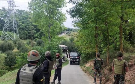 Assam extends Afspa in four districts citing 'recent disturbances' in Bangladesh