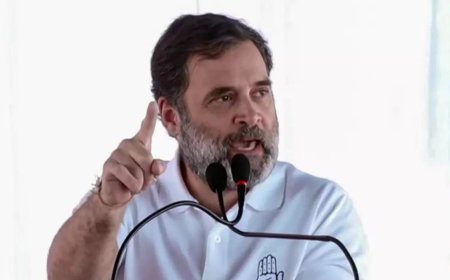 'If arrogance and lack of grace had a face': BJP questions Rahul Gandhi's absence after poll results