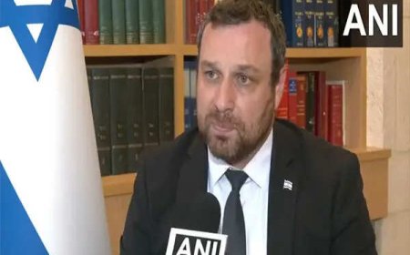 Israeli government spokesperson says 'important partner' India has 'voice of reason' that could act in the region