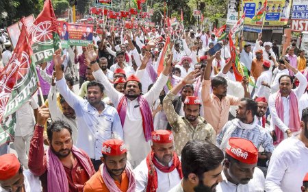 UP bypolls: Congress claims SP didn't discuss candidates with INDIA bloc