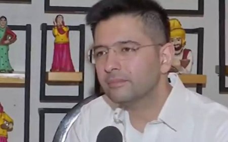 'Don't think that AAP needs any support': Raghav Chadha says party to go solo in Delhi assembly elections