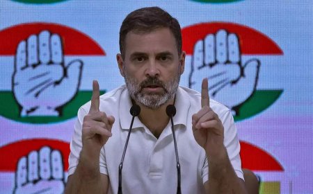 Haryana result 'unexpected', Congress analysing it: Rahul Gandhi