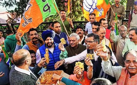 AAP alliance could've helped Congress in Haryana, but just to boost its tally by 3