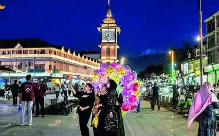 Naya Kashmir? BJP's Jammu confinement reeks of the old