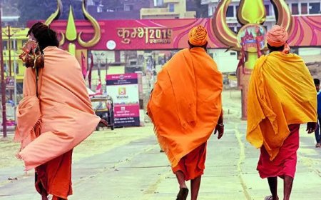 Buy only from Sanatanis, says Akhara Parishad