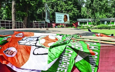 AAP says it'll go it alone in Delhi Election