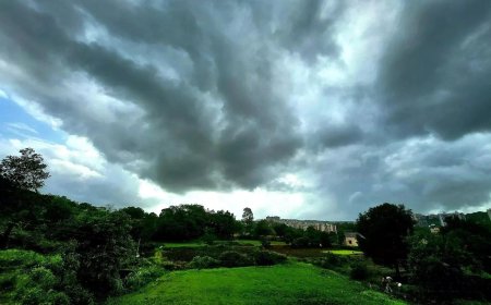 IMD issues yellow alerts for eight Kerala districts