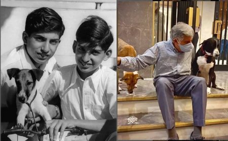 How Ratan Tata’s animal love defined his humanity
