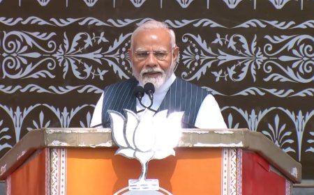 What pulled down BJP in Pir Panjal