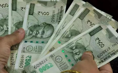 Maharashtra raises government employees' max gratuity from Rs 14 lakh to Rs 20 lakh