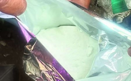 Cocaine worth Rs 3.3 crore seized in Delhi; 2 Nigerian nationals, taxi driver held