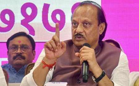 No friction in alliance, left meet early for farmers' event: Ajit Pawar