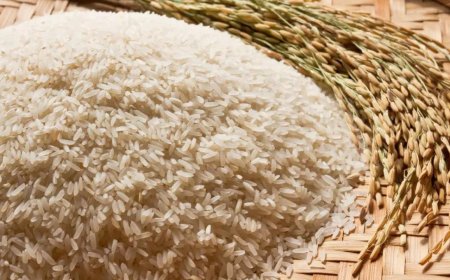 Fortified-food plan faces questions from two PM panel members