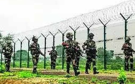 BSF foils infiltration bid of Bangladeshis in Tripura