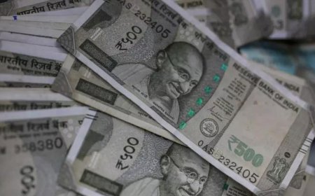 ED officer held in 20 lakh bribe case gets bail