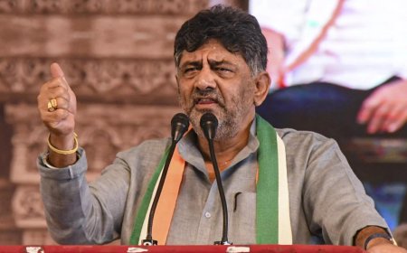 Hoist Kannada flag on Nov 1, Karnataka tells companies, factories, institutions