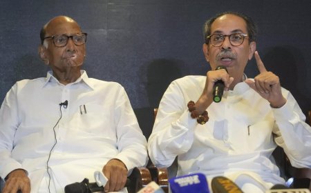 MVA aims to free people from current govt, confident of repeating Lok Sabha success: Sharad Pawar