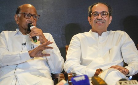 'Let Mahayuti announce ... ': What Uddhav Thackeray said on MVA's CM face in Maharashtra