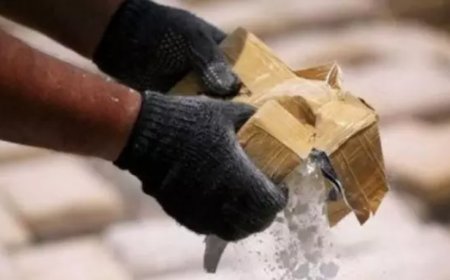 Another major drug bust: Delhi and Gujarat police seize 518 kg of cocaine worth Rs 5000 crore in joint operation