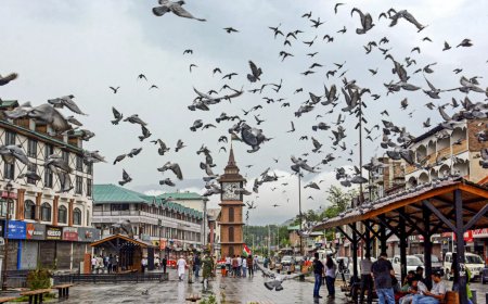 President's rule revoked in J&K after almost 6 years, stage set for Omar Abdullah's government