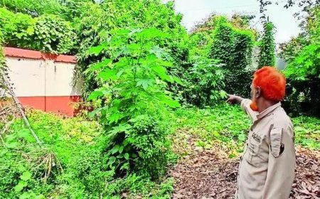 Attackers hit lone guard with pepper spray, shot Baba Siddique from 3 feet, fled in melee