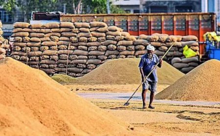 Haryana elections: Ties worsen as Congress claims AAP-BJP plot for farm crisis