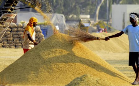 Will buy entire stock of paddy, Centre assures Punjab government
