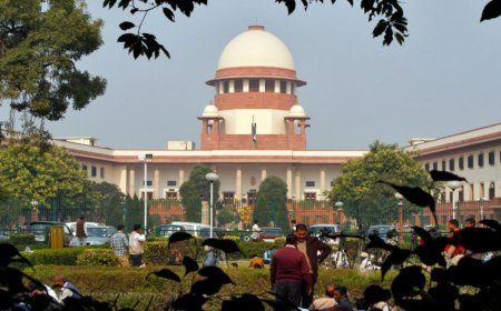 Can’t ask Parliament to create BNS equivalent of Sec 377: Supreme Court