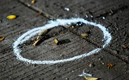 Baba Siddique murder case: '1 person set off crackers, 2 opened fire'