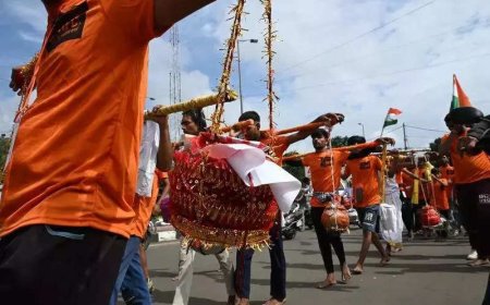 NGT directs aerial survey to find trees felled for 'kanwar' route construction