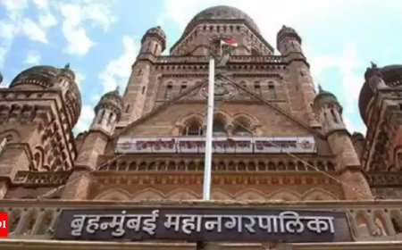 Maharashtra government announces Diwali bonus for civic staff ahead of poll date announcement