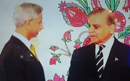 Watch: S Jaishankar's formal greetings at Pakistan PM's informal dinner party in Islamabad