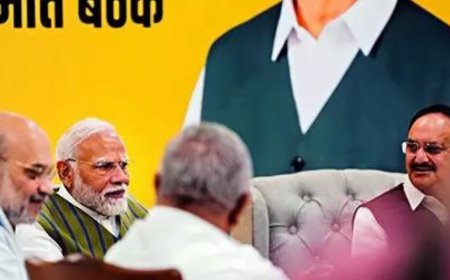 BJP sets in motion process to elect new party chief