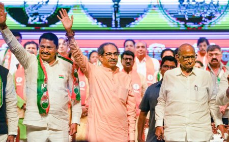 MVA rides high on LS poll momentum