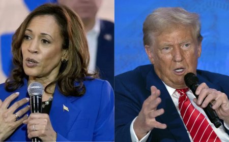Harris has big lead over Trump in poll of South Asian voters in US battleground states