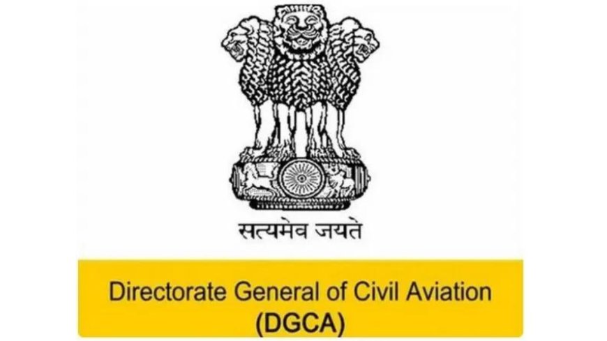 E-licences for pilots in final stage, ICAO linking it to ‘job aid’: DGCA