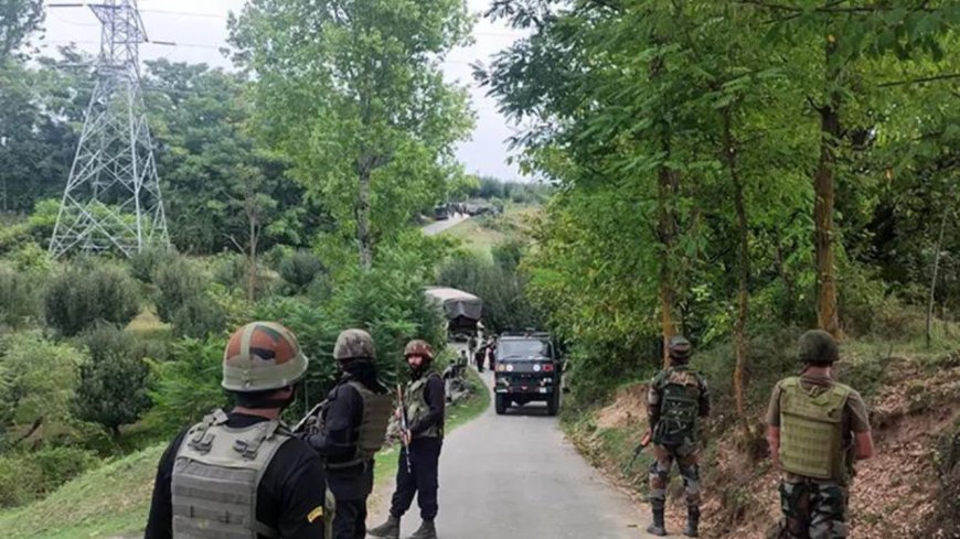 Assam extends Afspa in four districts citing 'recent disturbances' in Bangladesh