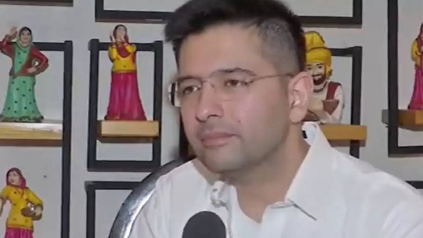 'Don't think that AAP needs any support': Raghav Chadha says party to go solo in Delhi assembly elections