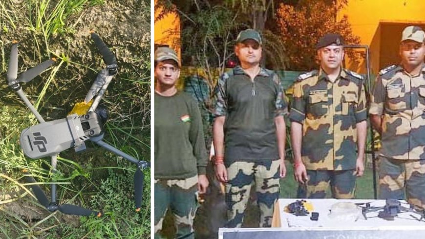 BSF shoots down Pakistani drone carrying heroin, pistol in Punjab's Ferozepur