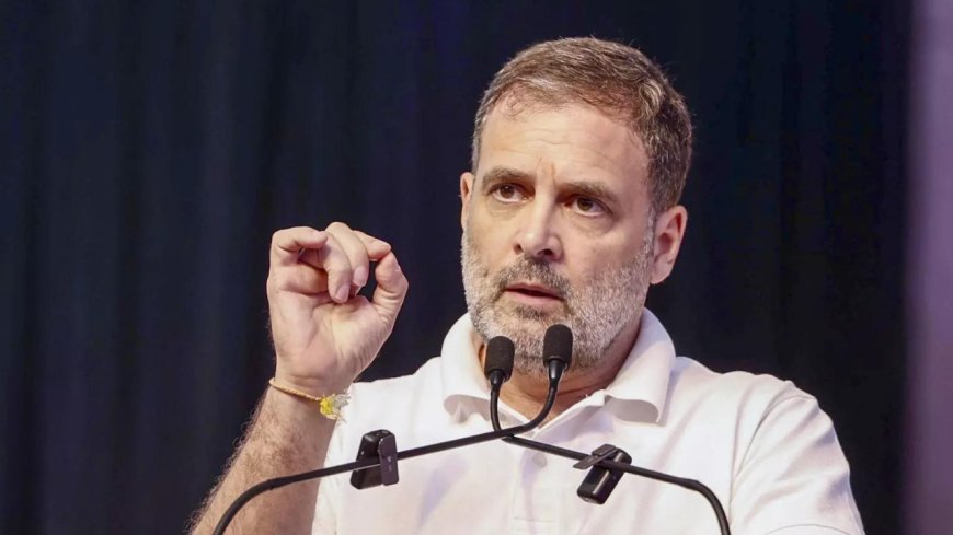'Sucks out their vote bank': BJP's 'Vikram-Betal' swipe at Congress after Haryana debacle